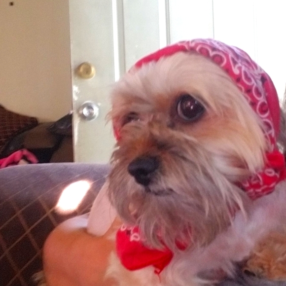 Meet your Posher, Miriam - Picture 1 of 1